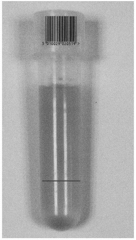 Helicobacter pylori transport culture medium as well as preparation method and application thereof