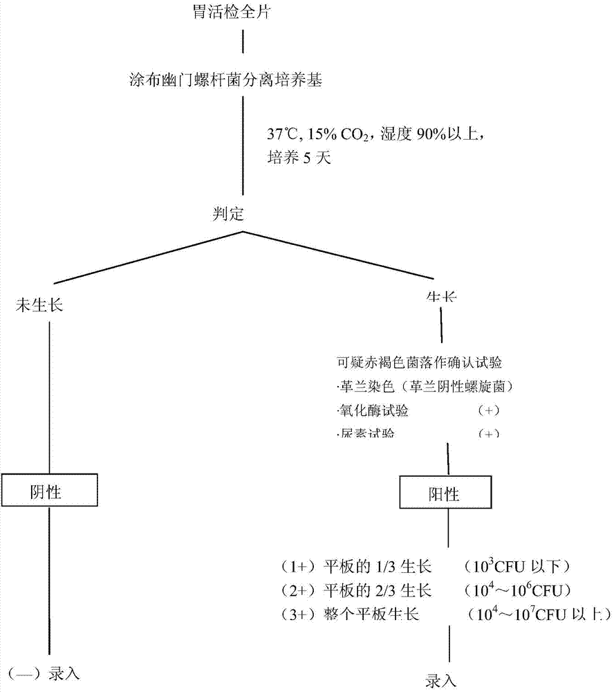 Helicobacter pylori transport culture medium as well as preparation method and application thereof