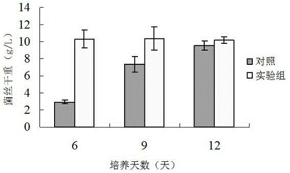 Soybean molasses hypsizigus marmoreus liquid nutrient medium and application thereof