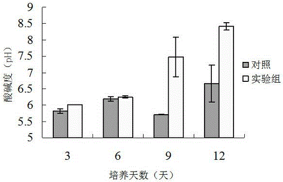 Soybean molasses hypsizigus marmoreus liquid nutrient medium and application thereof