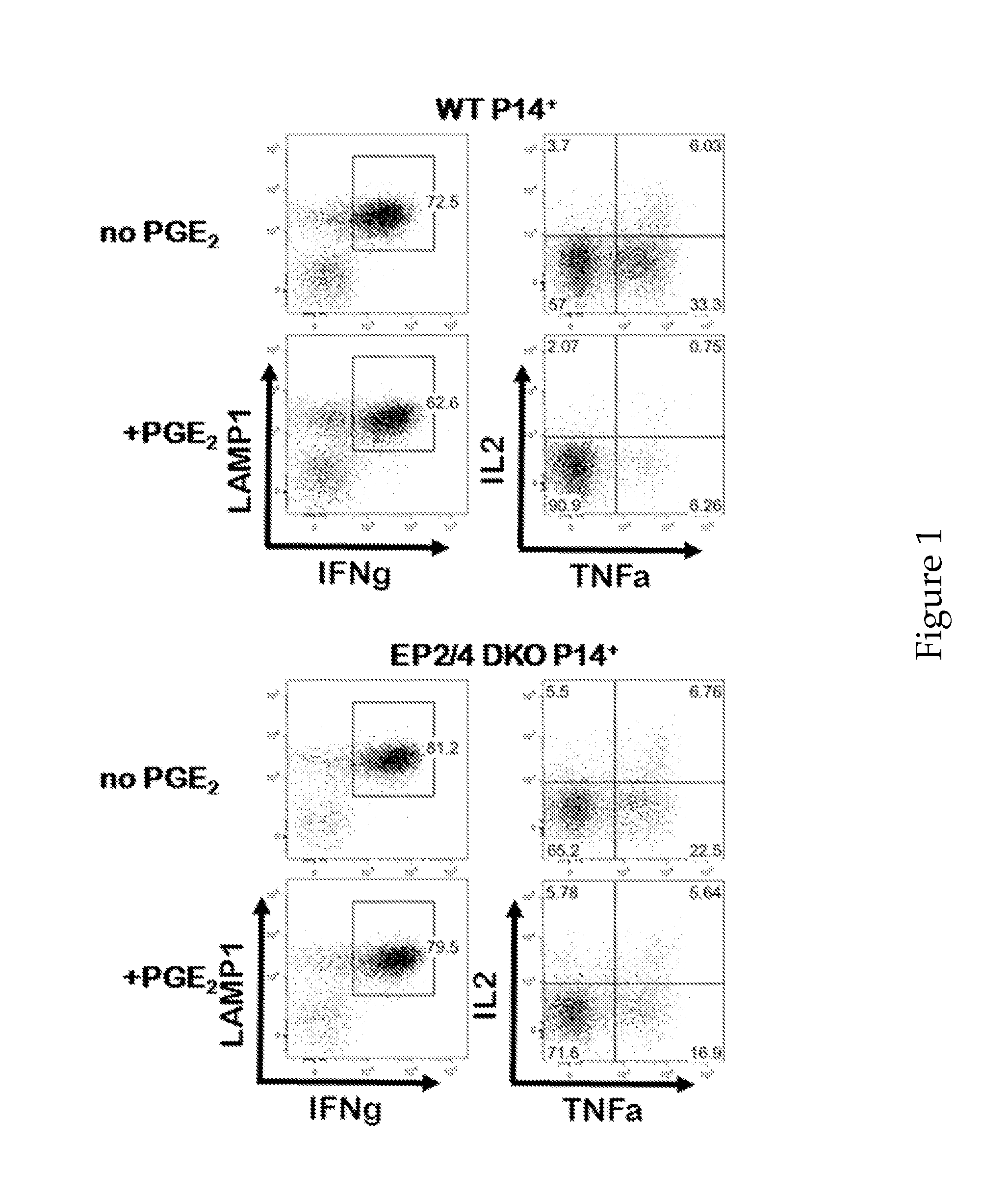 Compositions and Methods for Reducing CTL Exhaustion