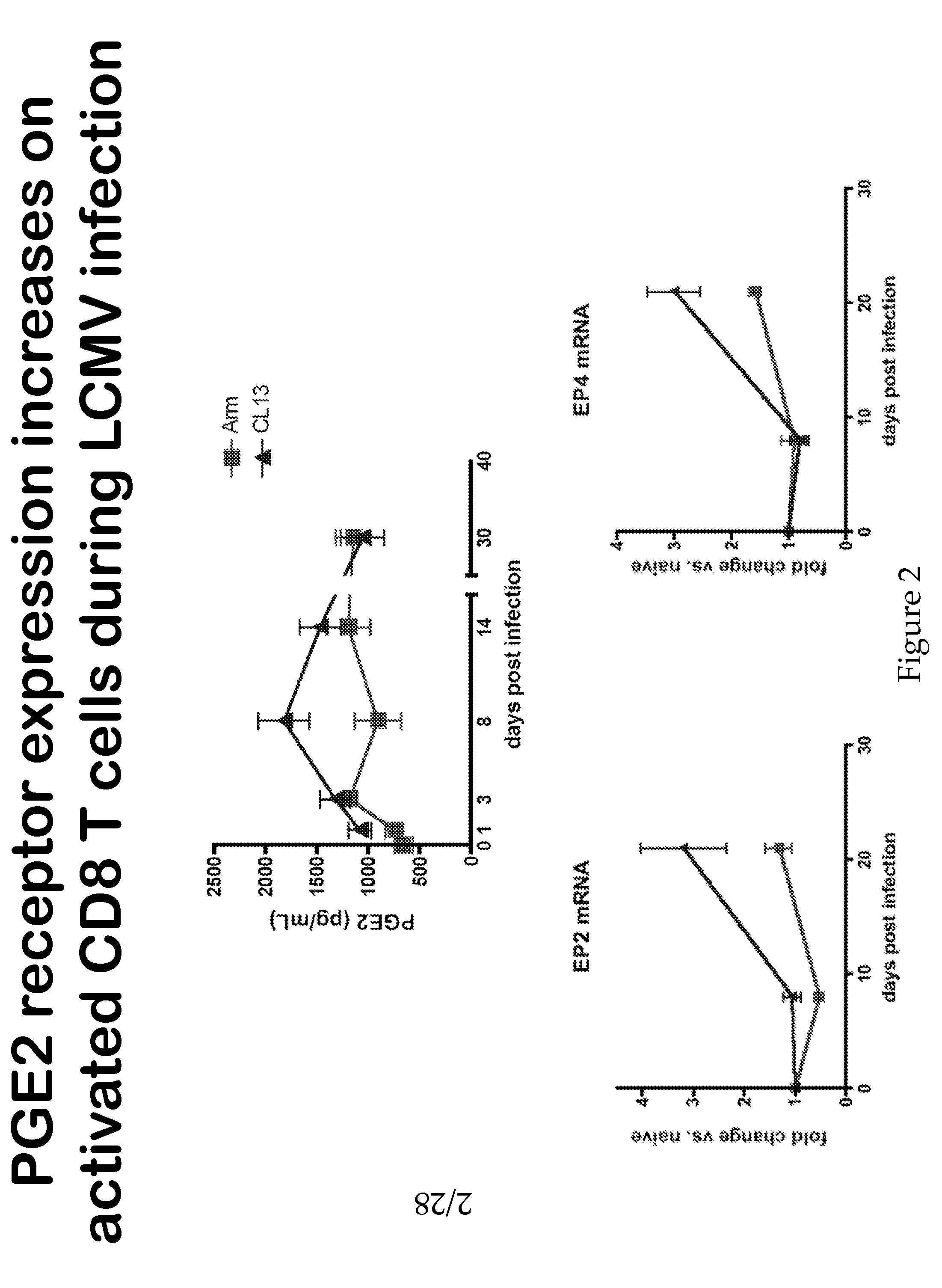 Compositions and Methods for Reducing CTL Exhaustion