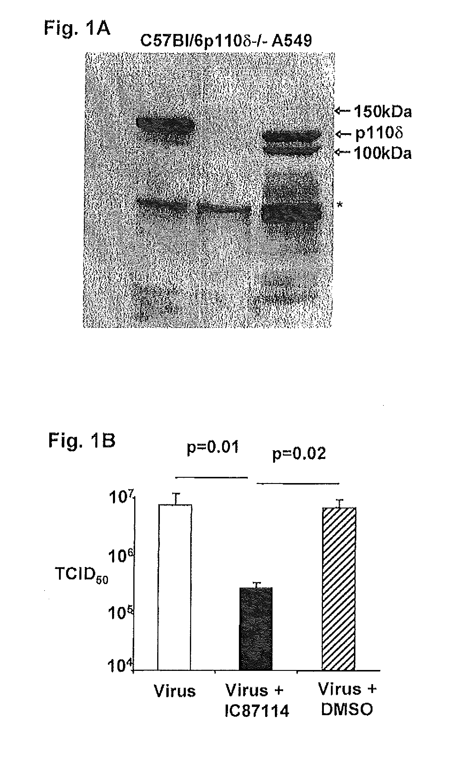 Compositions and Methods for Preventing or Treating Influenza Virus Infection