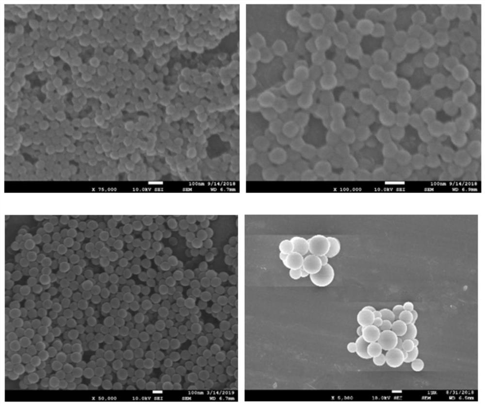 Preparation method and use of a nano-artificial antibody targeting cardiac troponin I