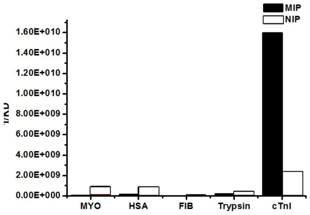 Preparation method and use of a nano-artificial antibody targeting cardiac troponin I