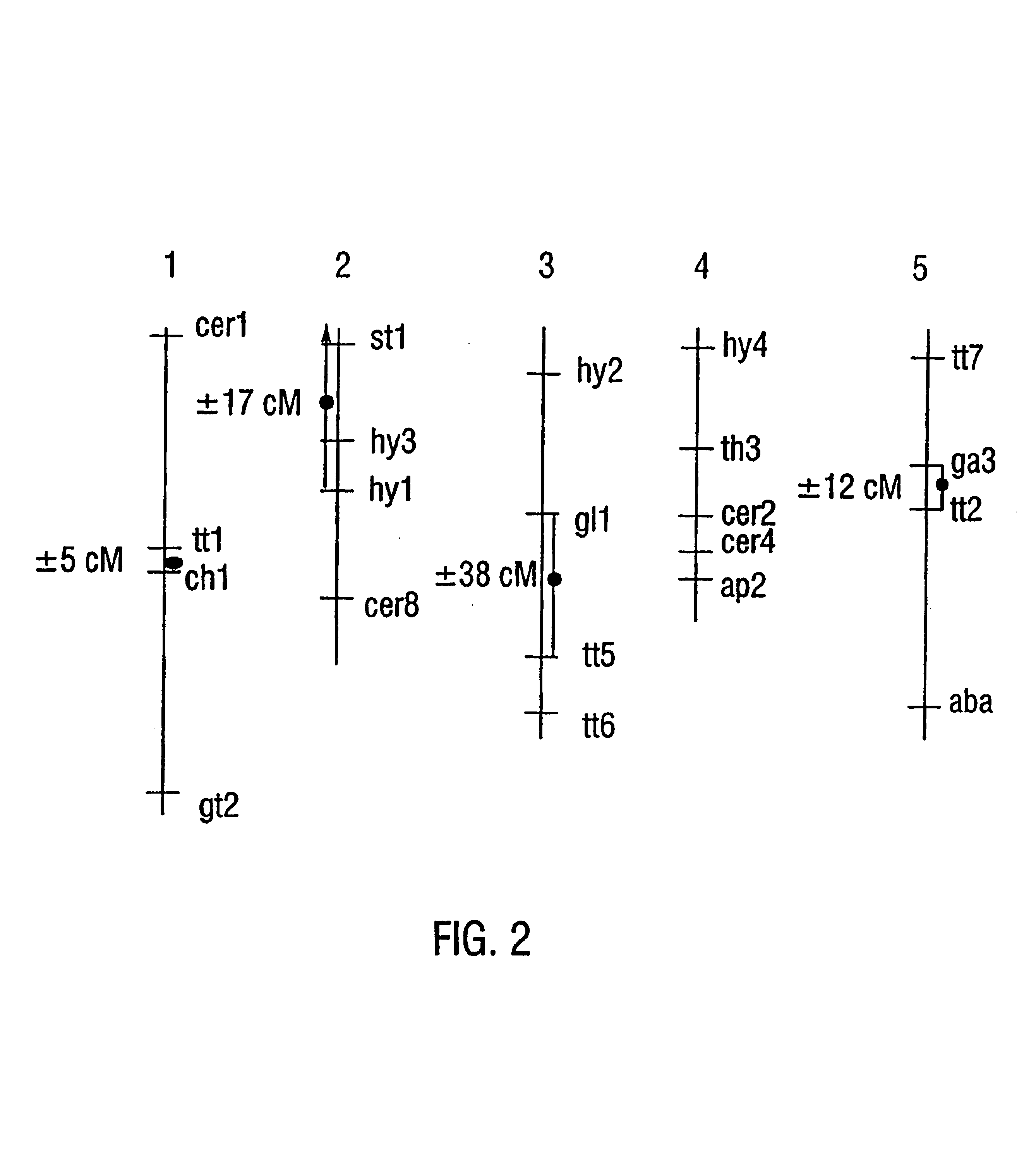 Plant artificial chromosome compositions and methods