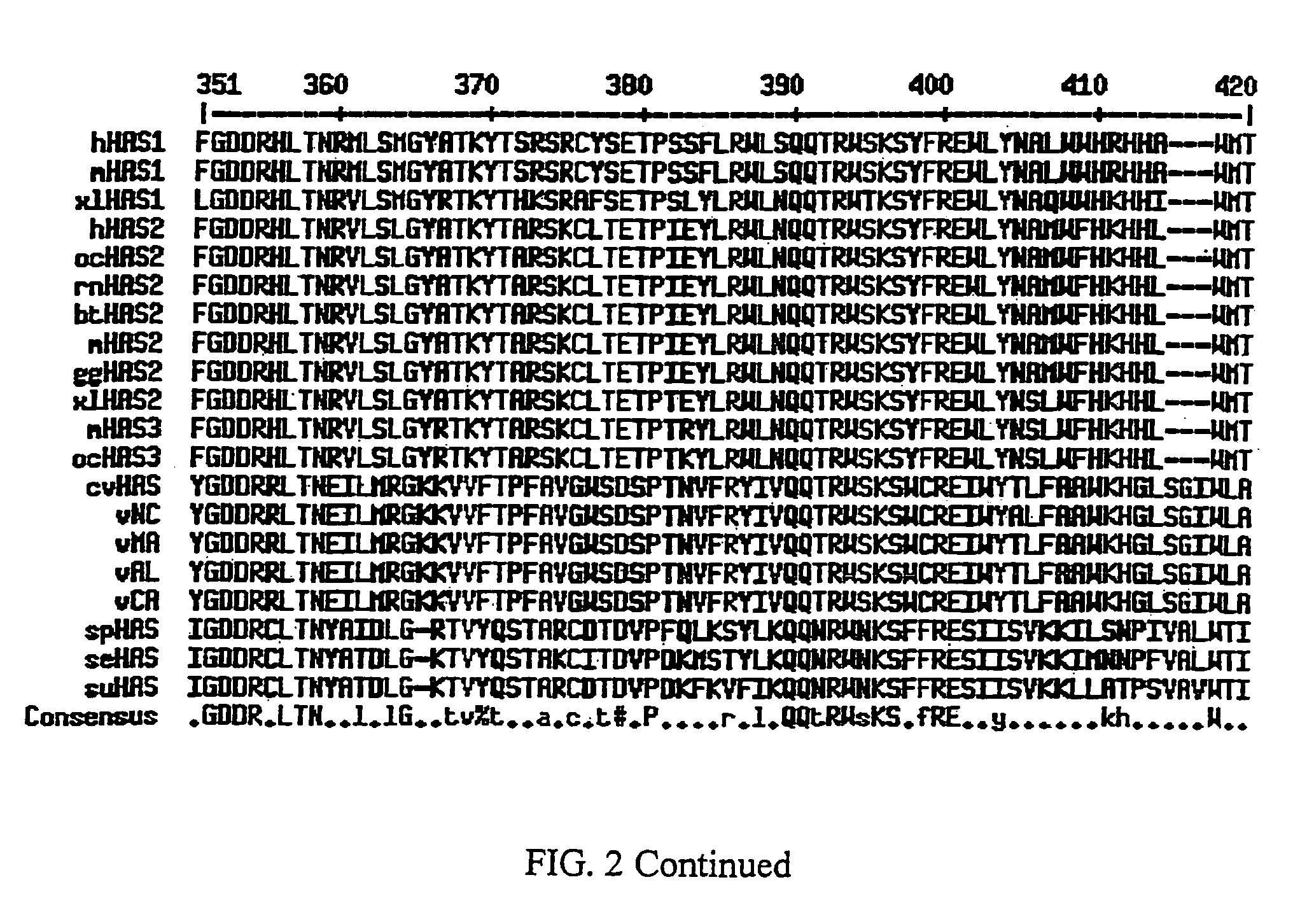 Hyaluronan synthase genes and expression thereof in Bacillus hosts