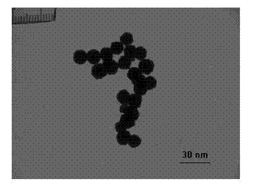 Preparation method for porous monolithic column immobilized enzyme micro-reactor