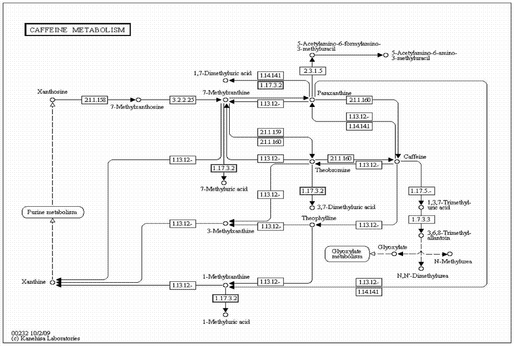 A kind of caffeine extract of mutable goat grass and its extraction method and application