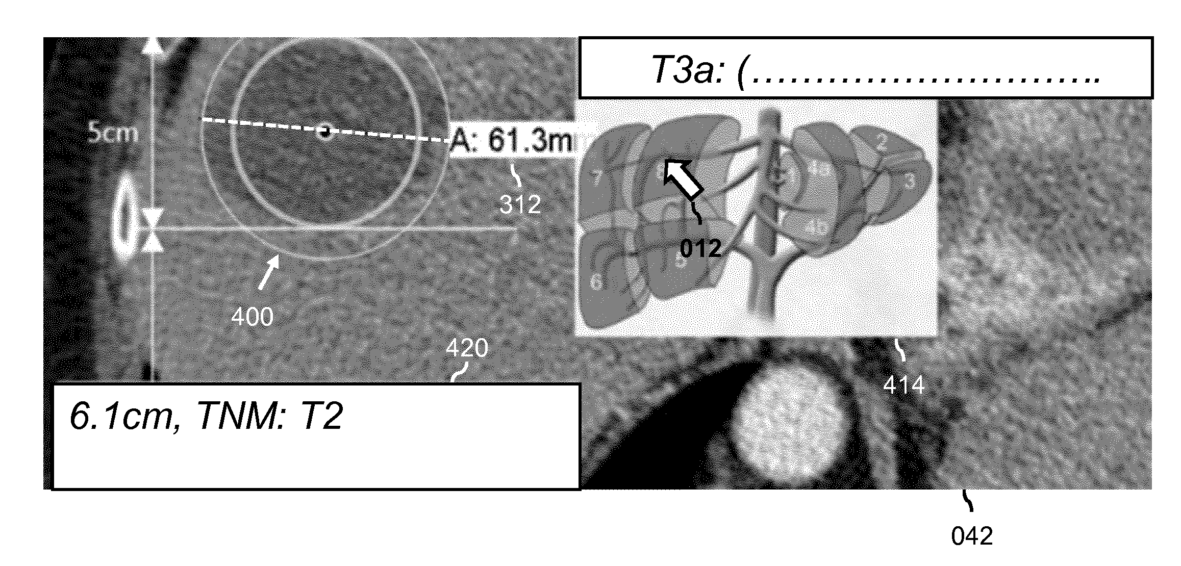 Enabling review of a medical image