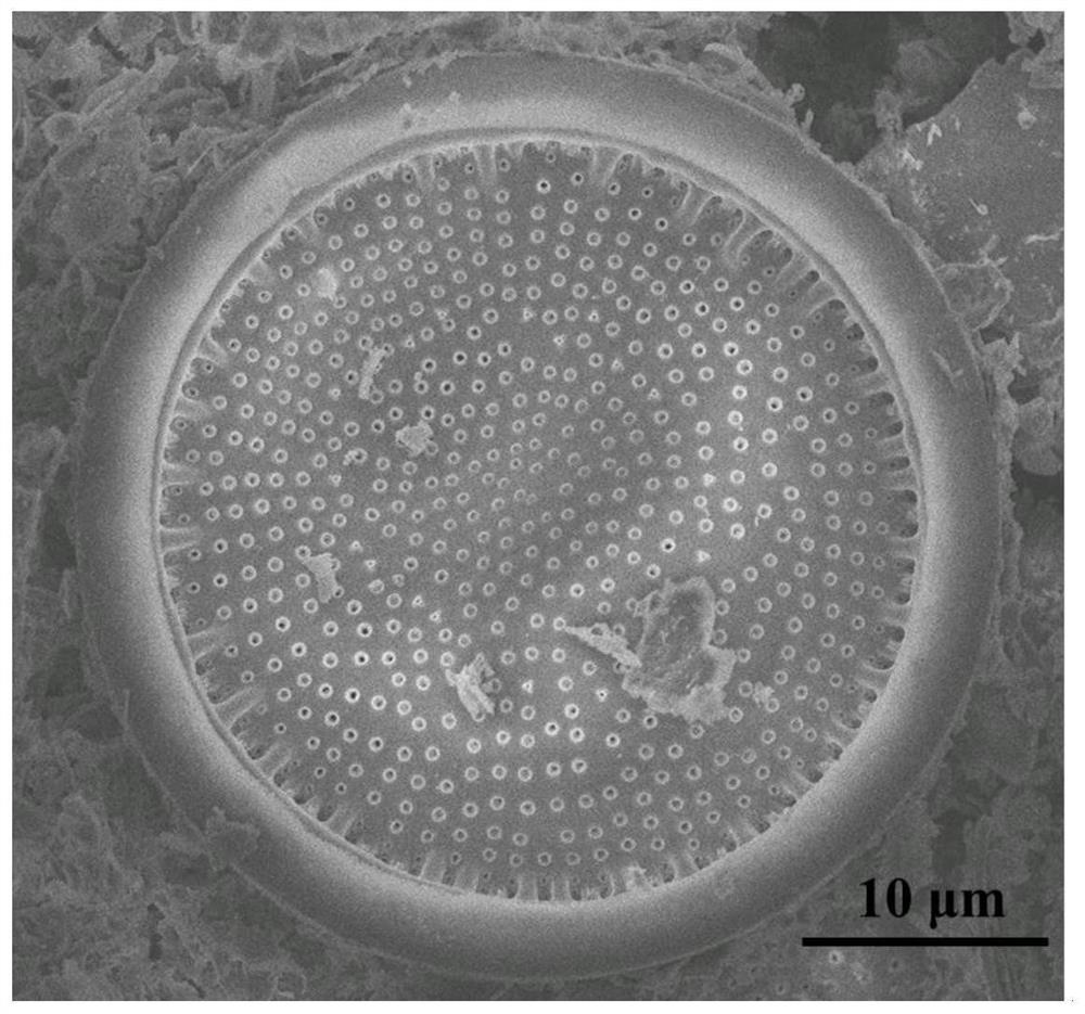 A diatomite-supported porous bixbyite mn  <sub>2</sub> o  <sub>3</sub> Catalyst, preparation method and application thereof