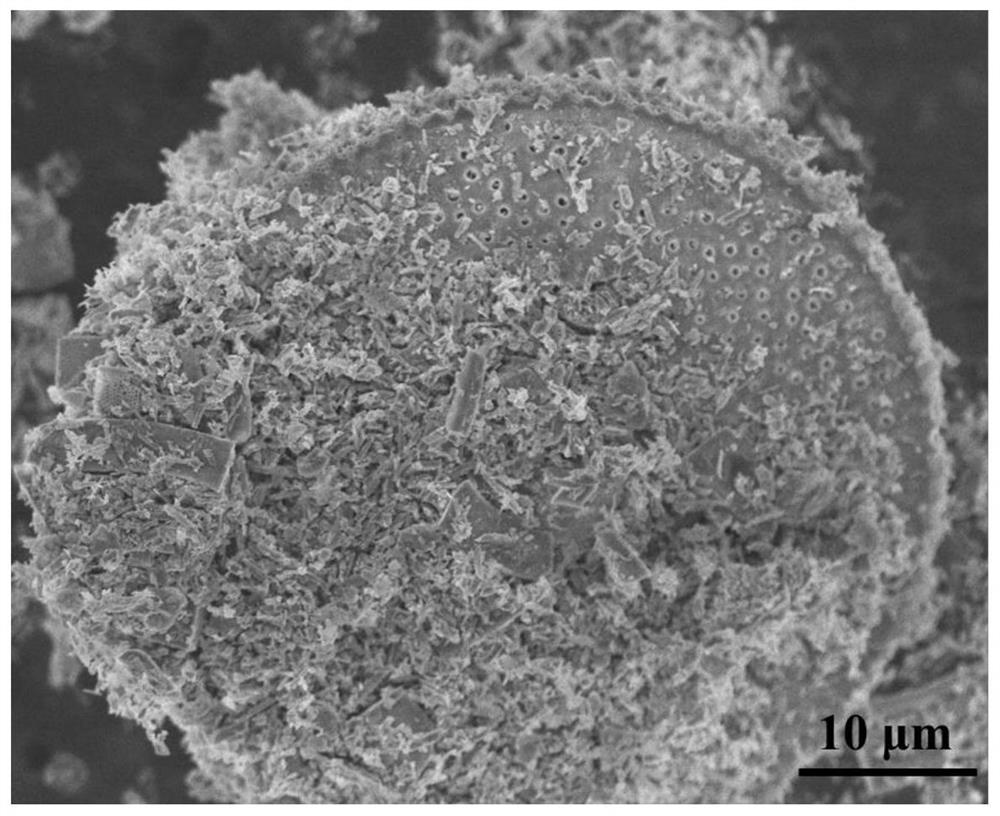 A diatomite-supported porous bixbyite mn  <sub>2</sub> o  <sub>3</sub> Catalyst, preparation method and application thereof