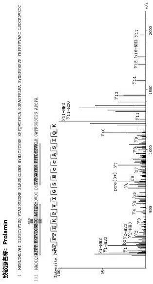 A kind of identification method and application of bee pollen allergenic protein