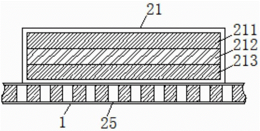 Efficient hyriopsis cumingii sorting device