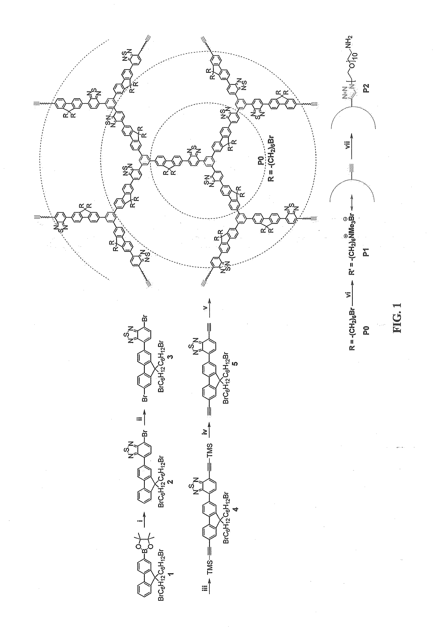 Methods And Compositions For Cellular Imaging And Cancer Cell Detection Using Light Harvesting Conjugated Polymer-Biomolecular Conjugates
