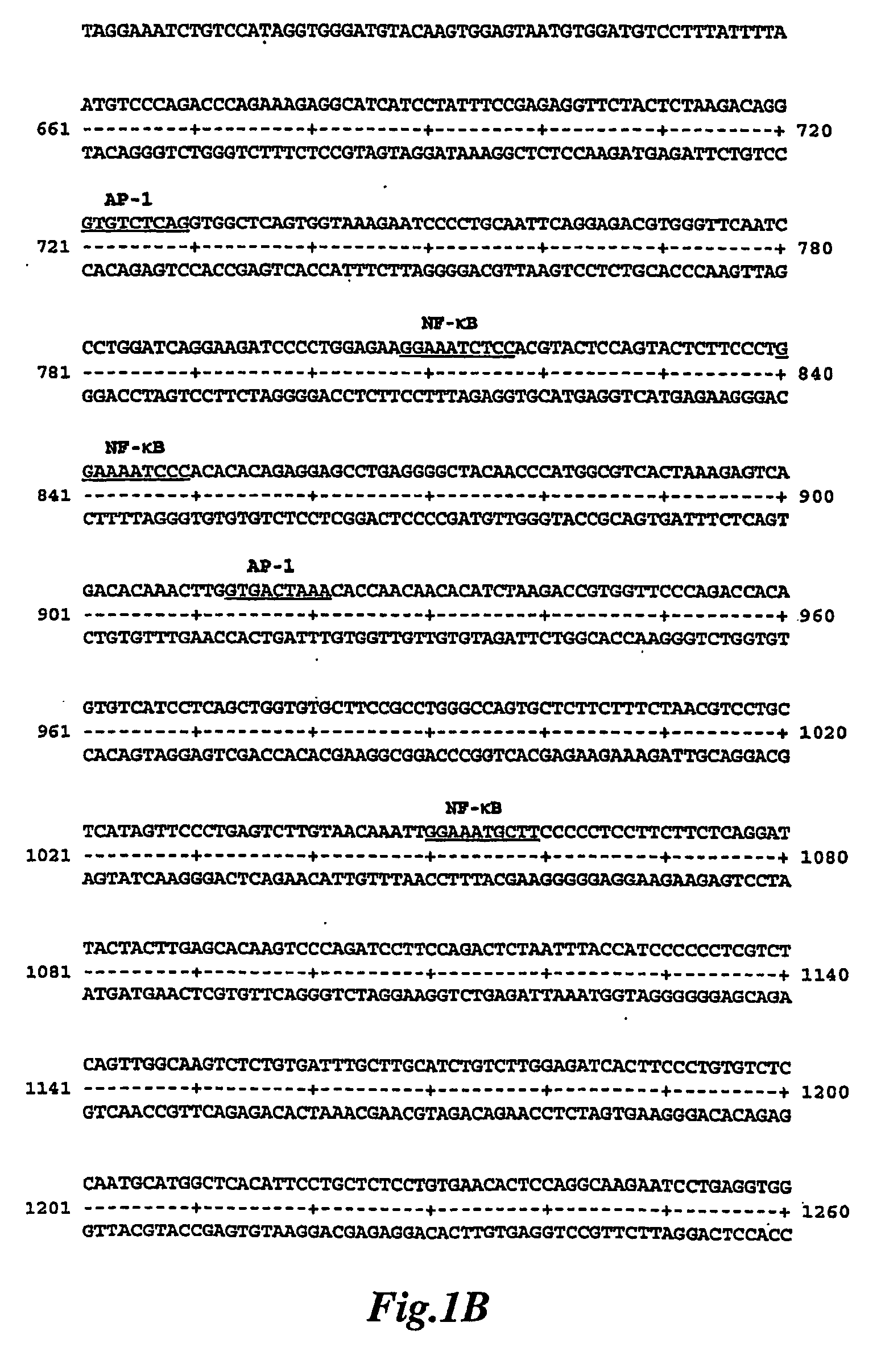 Mammary-associated serum amuloid a3 promoter sequences and used for same