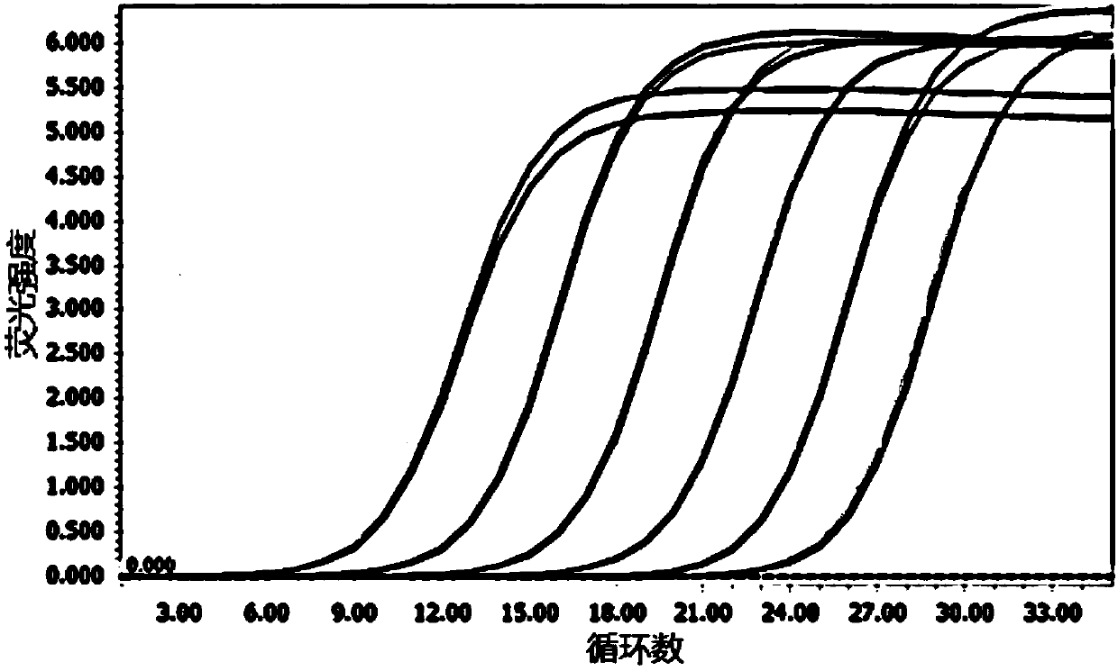 Plasmid standard substance containing human thymalfasin target gene as well as preparation method and application of plasmid standard substance