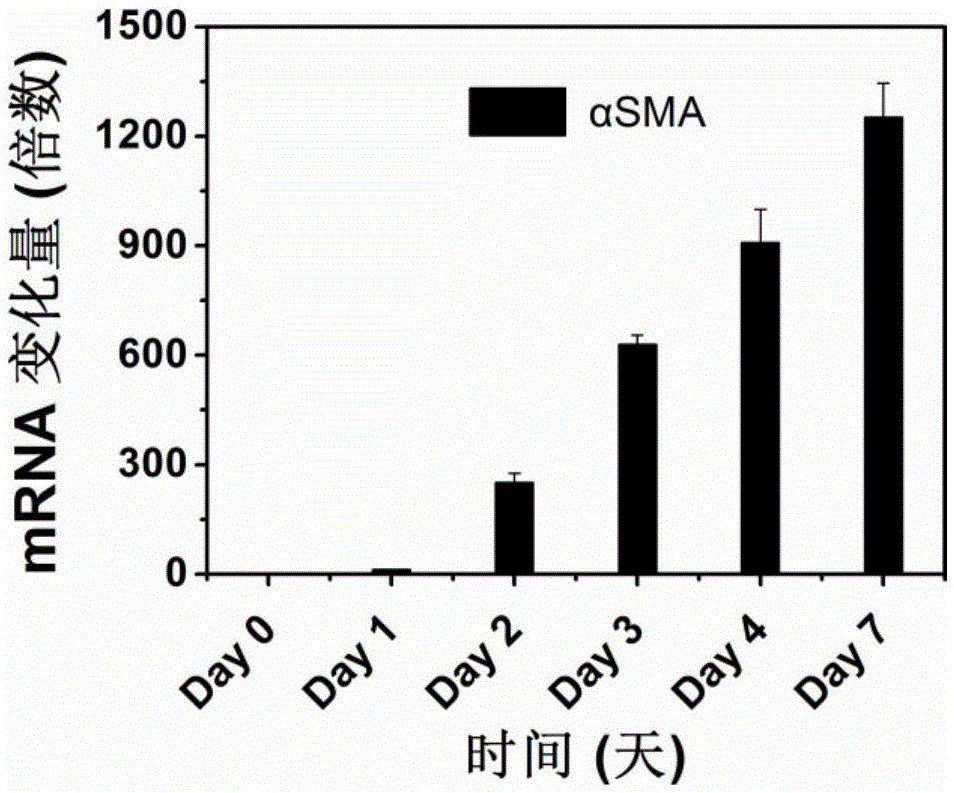 Polymer nano-carrier for folic acid specificity targeting of active hepatic stellate cell and medicinal application thereof