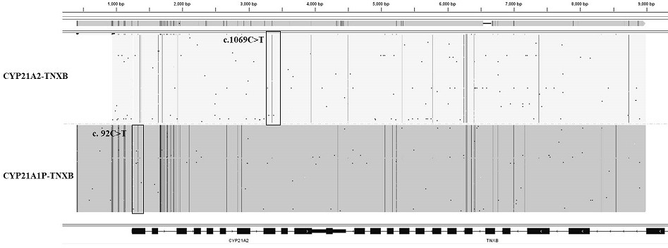 Primer set and kit for simultaneous detection of multiple mutations in 9 genes related to congenital adrenal hyperplasia