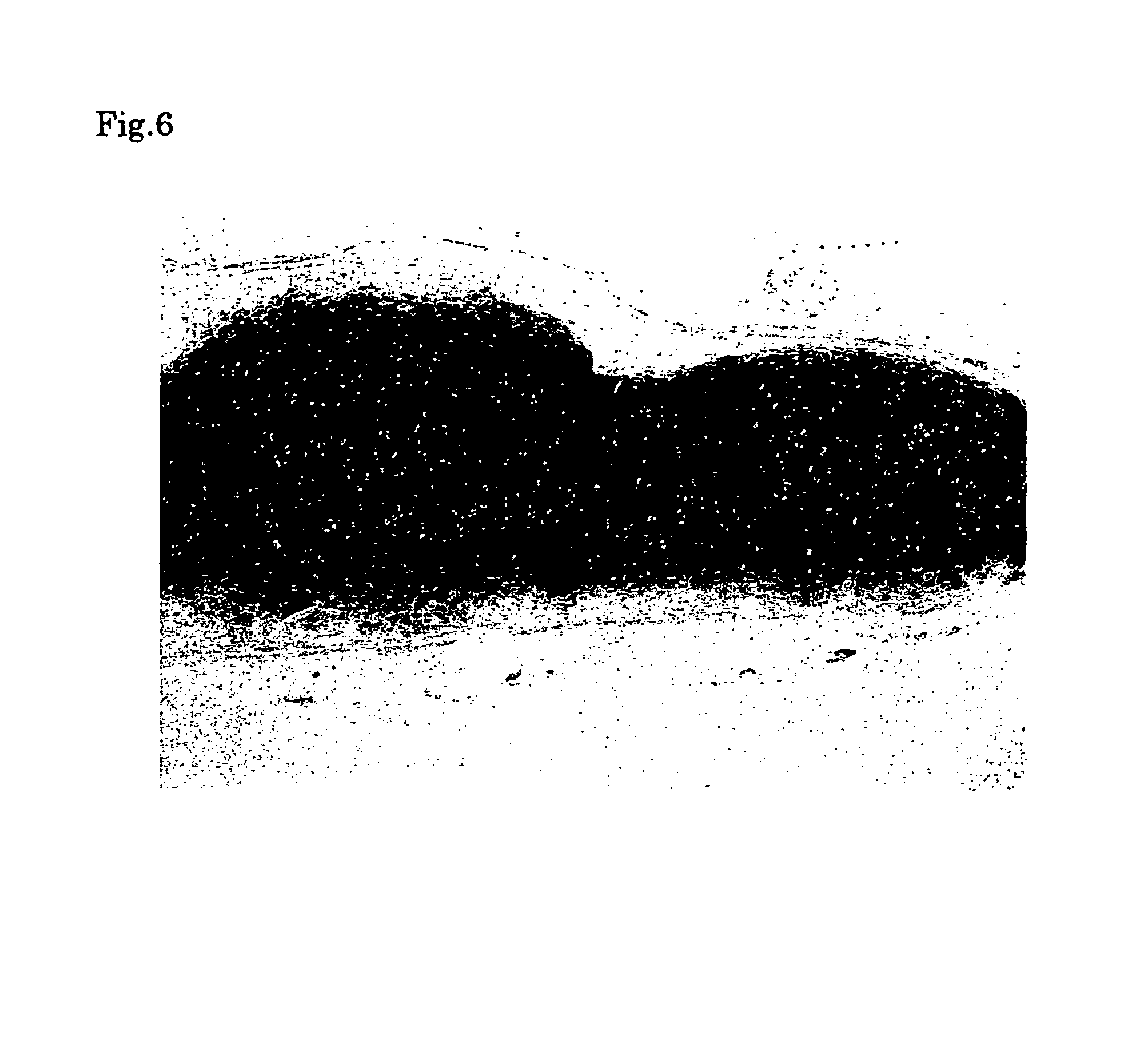 Process for producing cartilage cells for transplantation