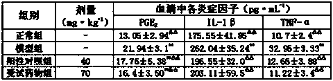 Traditional Chinese medicine prescription for treating rheumatic bone disease and preparation method of Chinese patent medicine