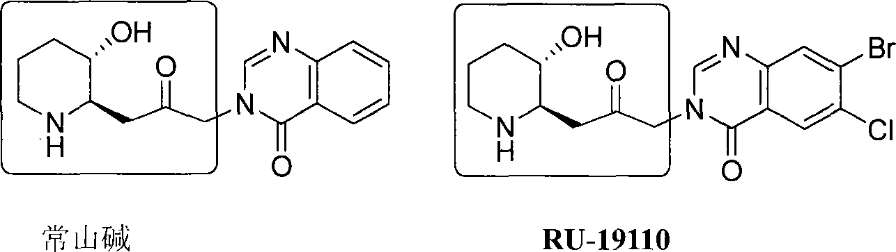 Process of synthesizing (2R, 3S)-3-alkyl siloxy-2-allyl-1-alkoxy carbonyl-pyridine