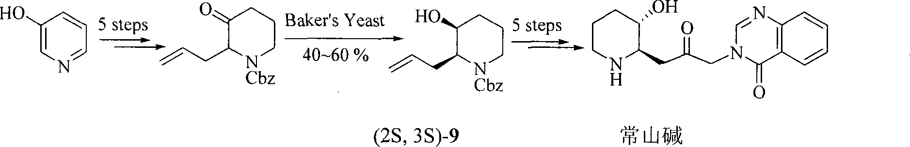 Process of synthesizing (2R, 3S)-3-alkyl siloxy-2-allyl-1-alkoxy carbonyl-pyridine