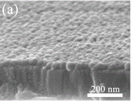 Preparation method of zinc oxide nanorod array thin film