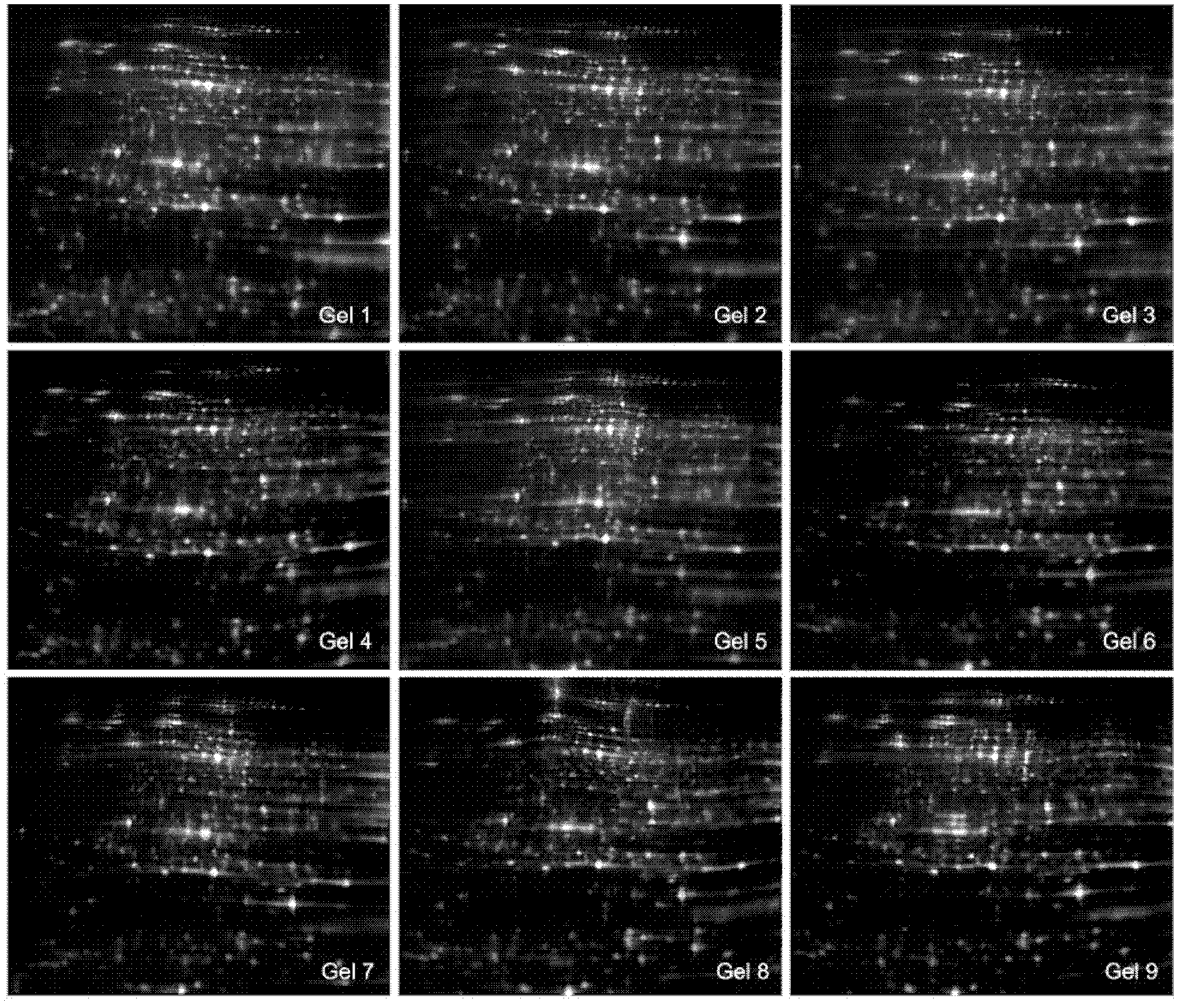 Method of evaluating security of transgenic plants