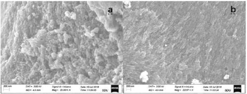 Preparation method of iron and cyclodextrin co-modified biochar composite material