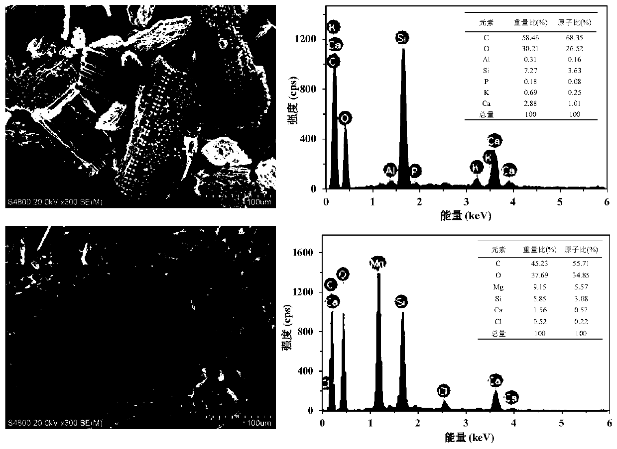 A kind of magnesium-loaded biochar and its preparation method and application