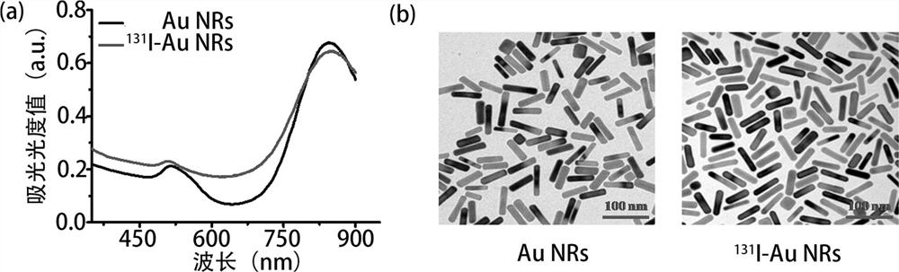 A radioactive iodine-labeled gold nanomaterial and its preparation method and application