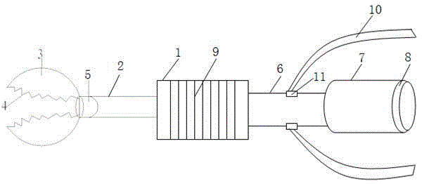 Fruit corer