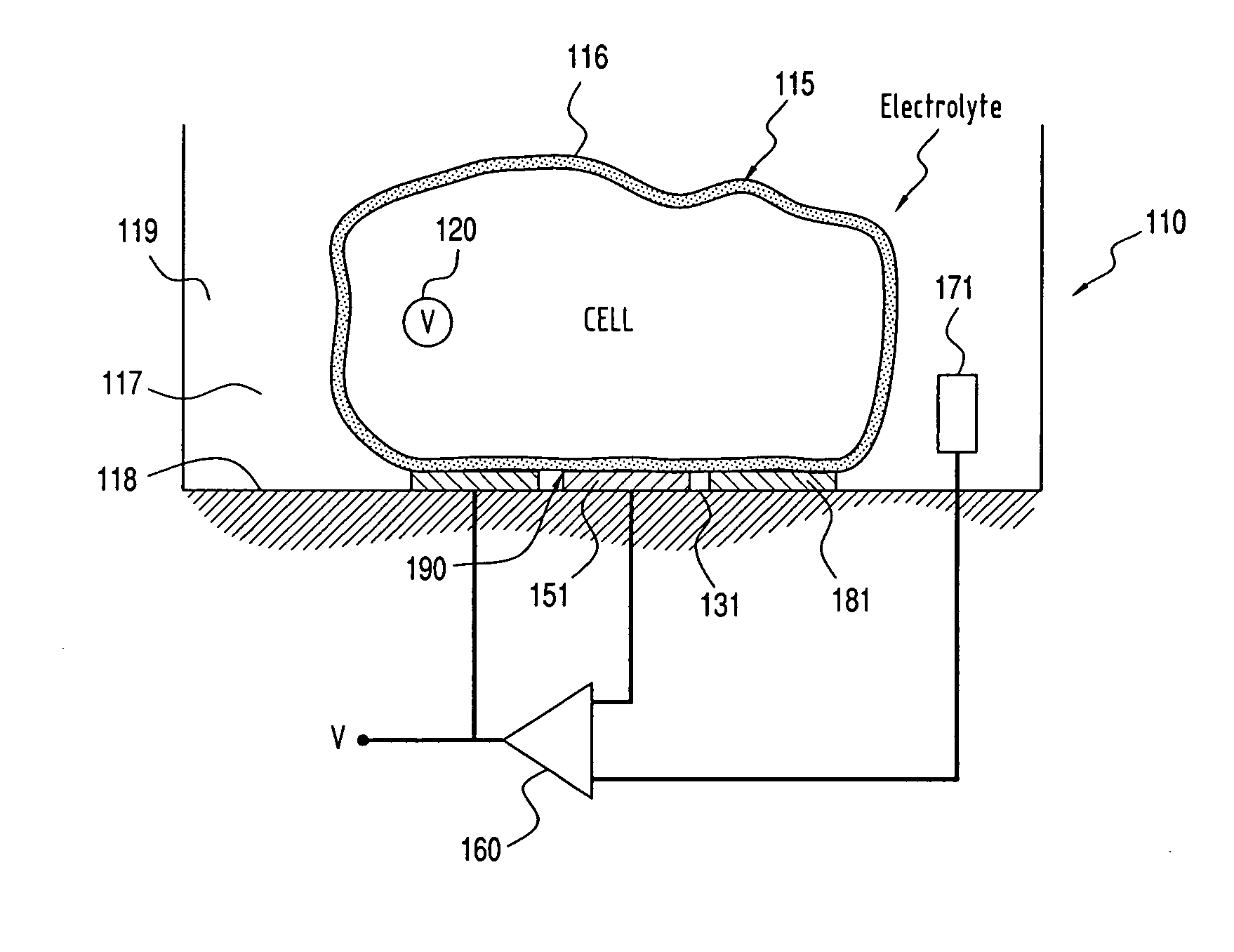 System for Measuring the Electric Potential of a  Voltage Source