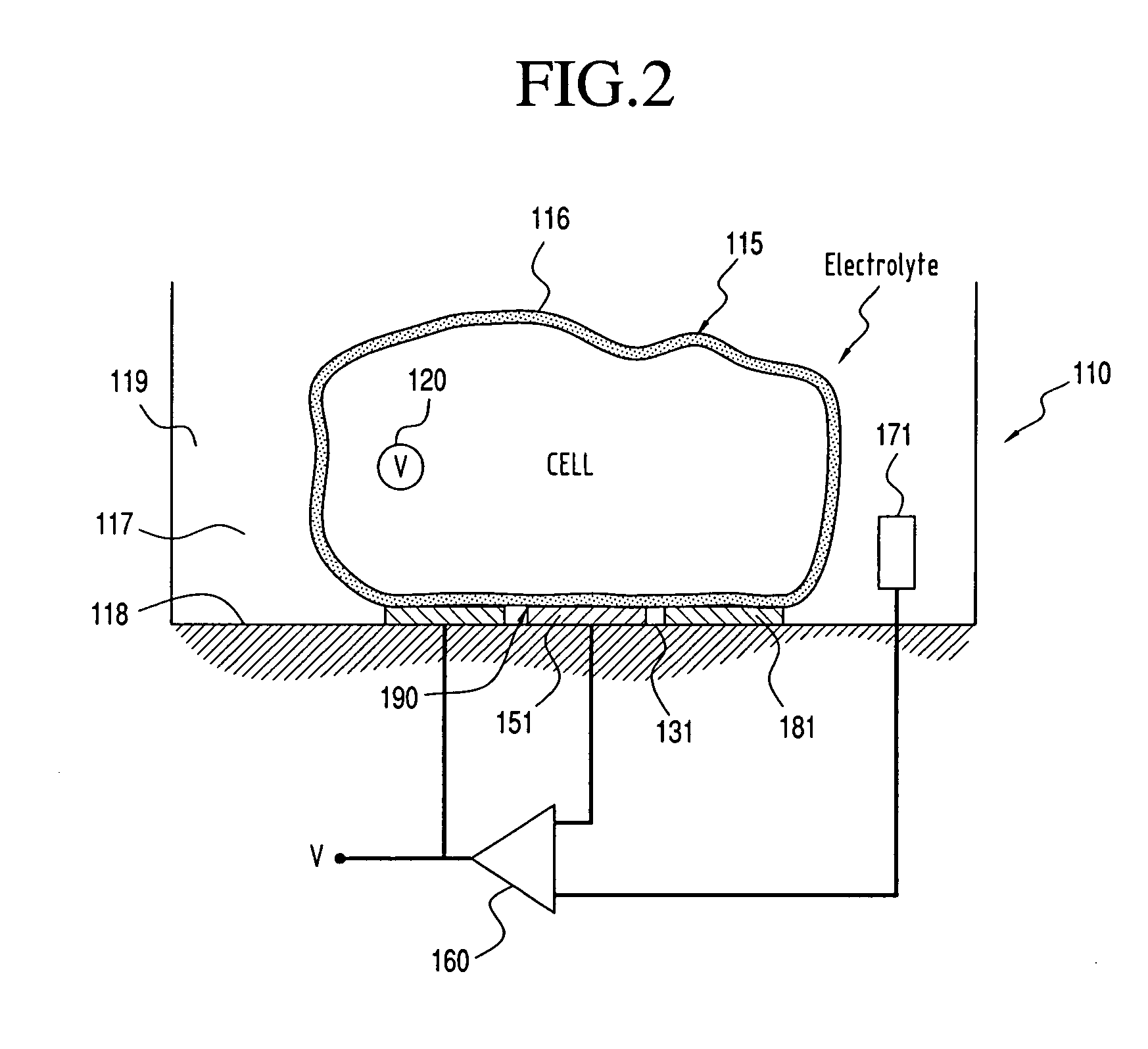 System for Measuring the Electric Potential of a  Voltage Source