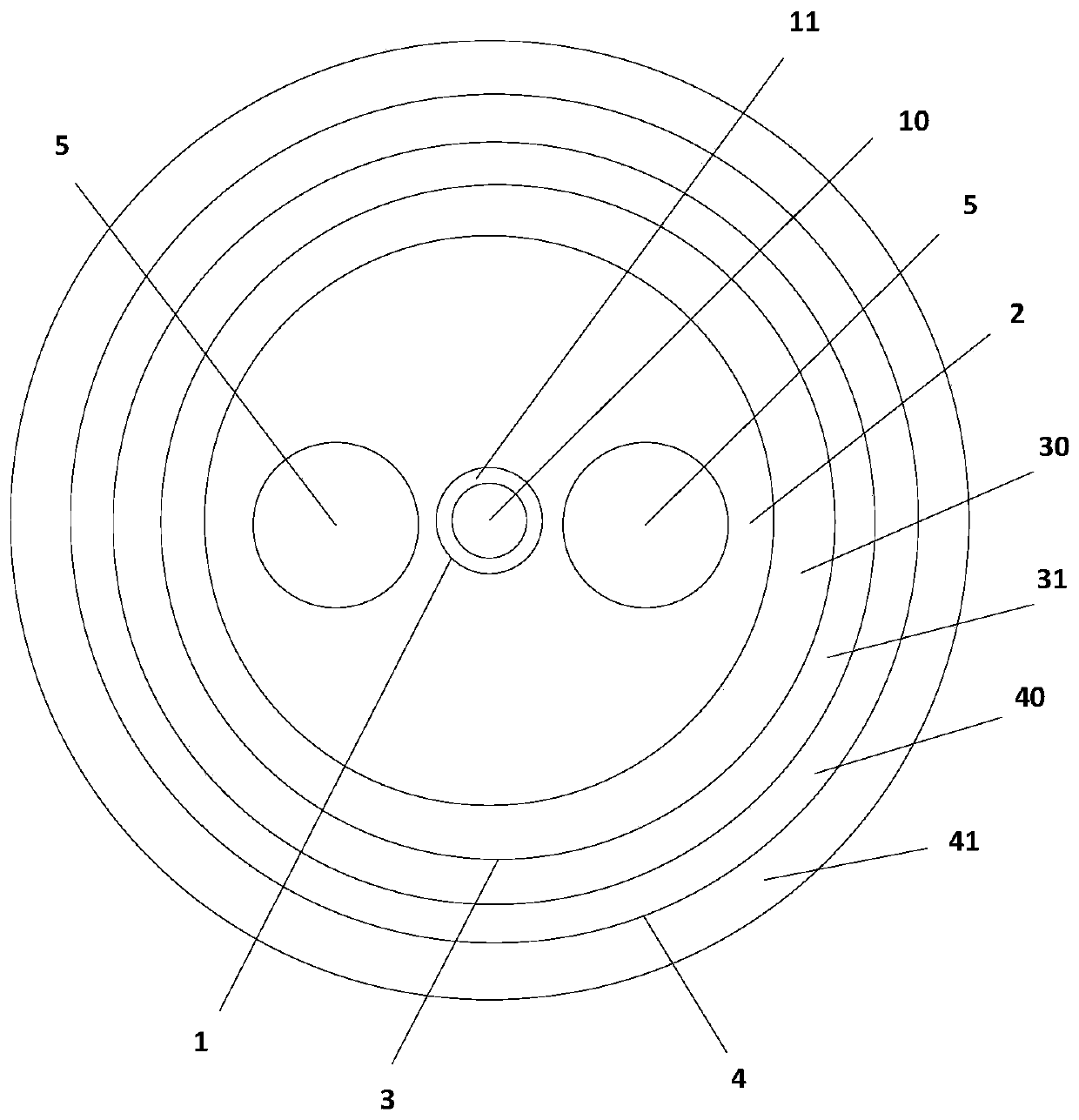 A polarization maintaining fiber