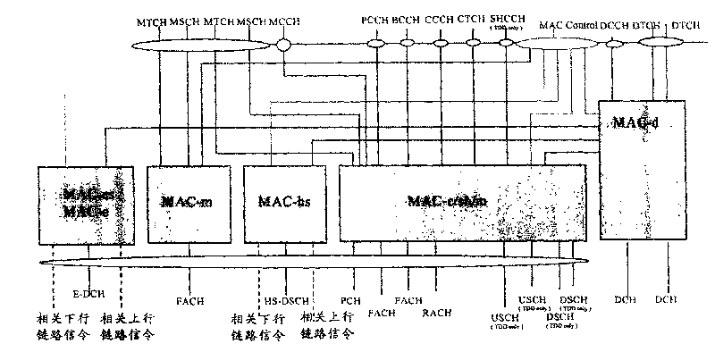 Evolutionary configuration based base station and terminal, and its data transmitting and receiving method