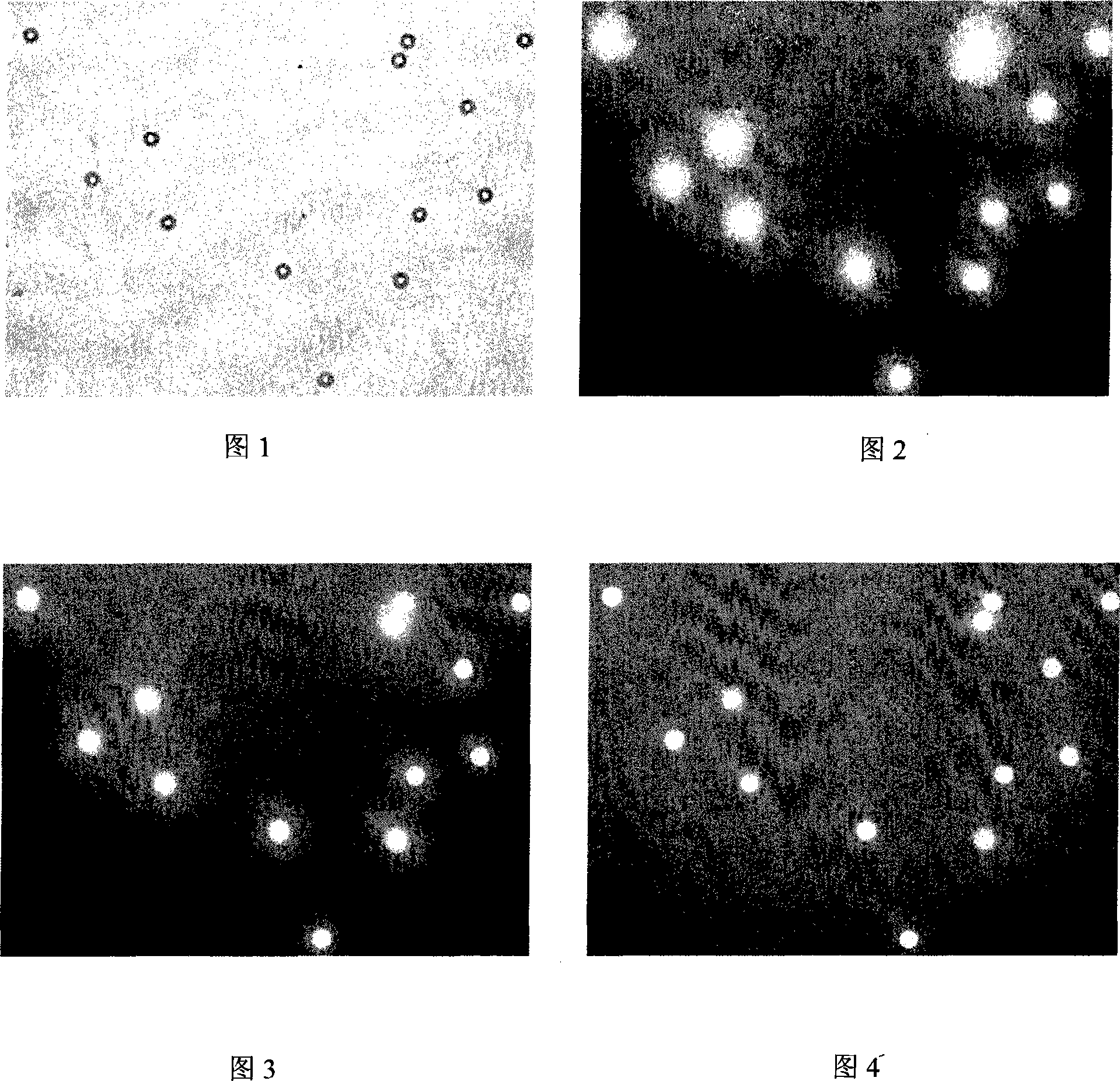 Method for dyeing fluorescent microballons