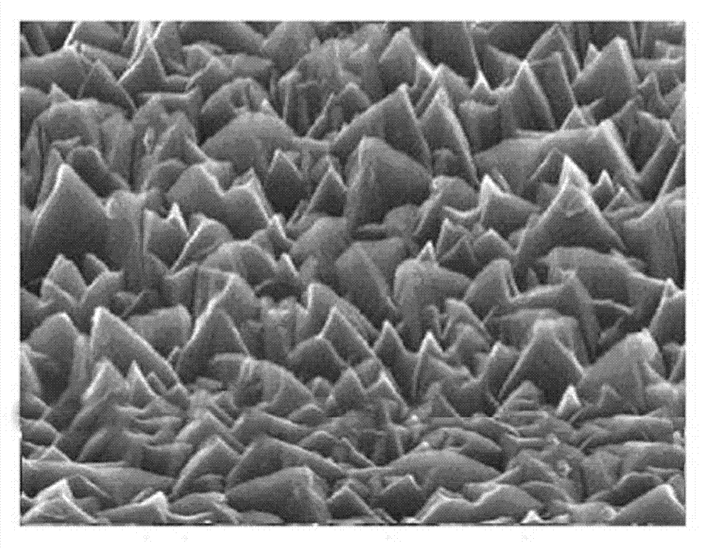 Preparation method of textured AZO (aluminum-doped zinc oxide) transparent conductive film