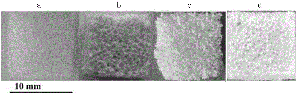 A kind of β-tcp/pgs composite scaffold and its preparation method and application