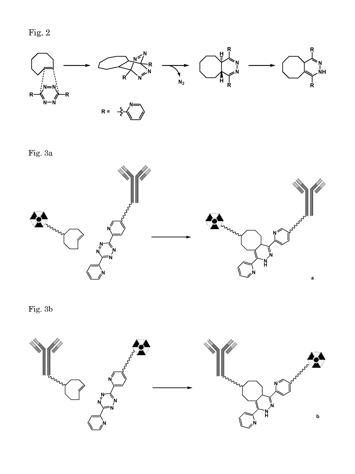 Pretargeting kit for imaging or therapy comprising a trans-cyclooctene dienophile and a diene