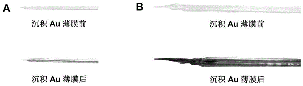 Gold film microelectrode array and its manufacturing method