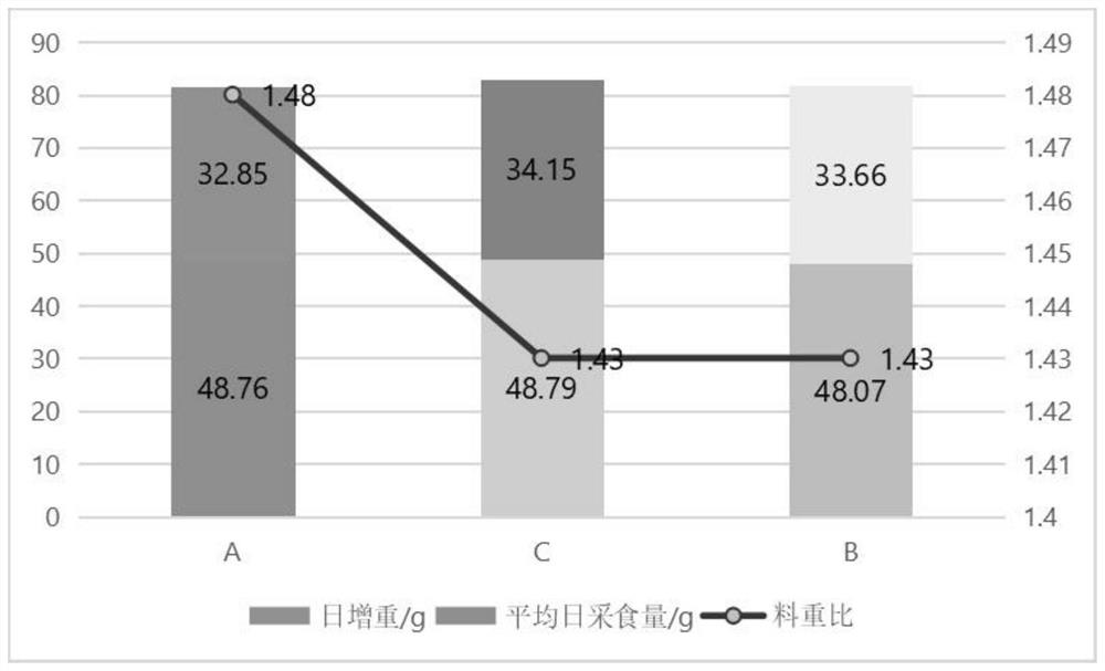 Broiler chicken antibiotic-replacement feed composite additive rich in enzyme and bacteria and preparation method thereof