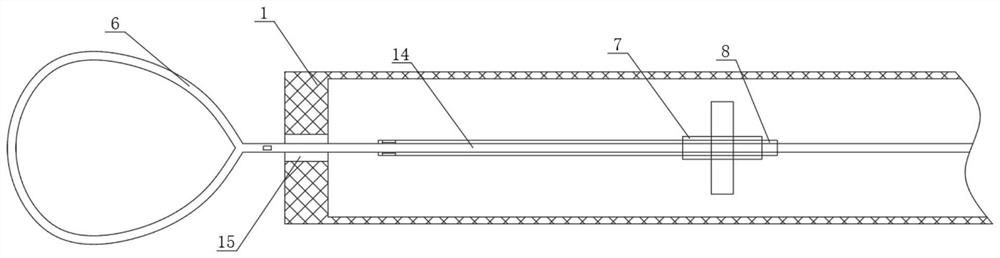 Polyp resection device and use method thereof