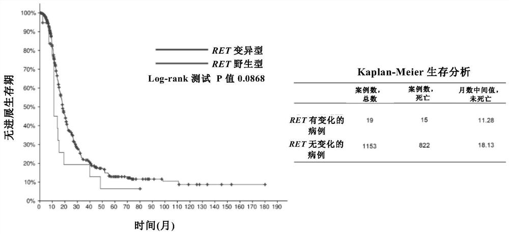 Epithelial ovarian cancer target RET and application thereof in diagnosis and treatment