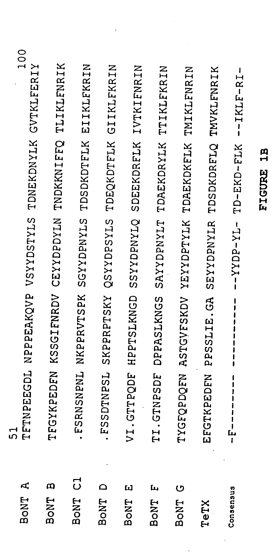 Compositions and methods for transepithelial molecular transport
