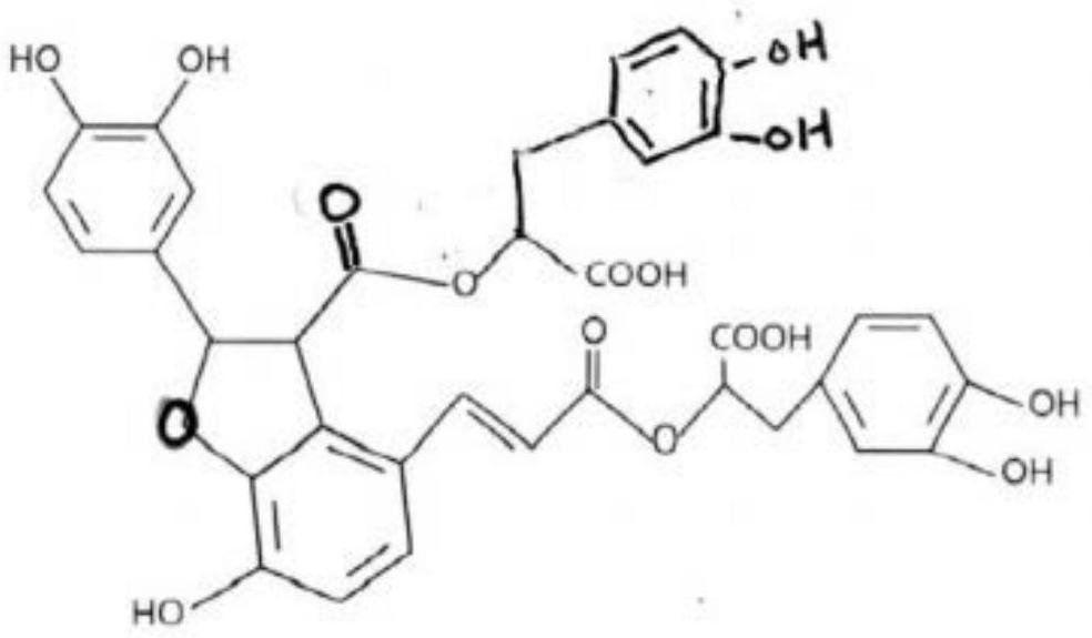 Dual drug composition, capsule drug, tablet drug and application of dual drug composition