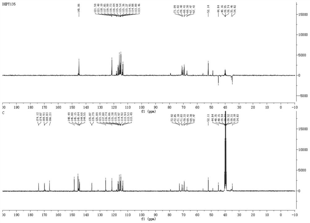 Extraction method, product and application of caffeoylquinic acid compounds