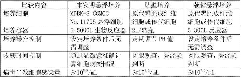 Bovine kidney cell capable of being subjected to suspension culture, suspension culture method for bovine kidney cell and application thereof