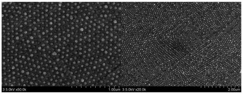 A preparation method of two-dimensional ordered nano-se lattice on the surface of medical 316l stainless steel